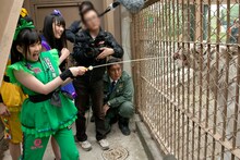 ロッキーにおっかなびっくりエサをやる有安杏果。