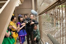 ホワイトタイガー、ロッキーにエサをやる玉井詩織。