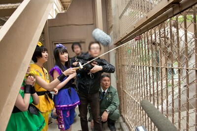 ホワイトタイガー、ロッキーにエサをやる玉井詩織。