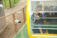 観覧車「エマさんのチーズ風車」に乗り込んだ3人。