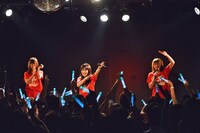 Negicco