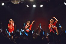 Negicco