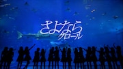 AKB48「さよならクロール」PVのワンシーン。