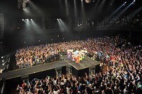 チームしゃちほこ