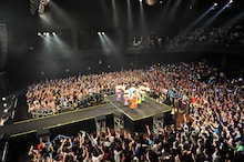 チームしゃちほこ