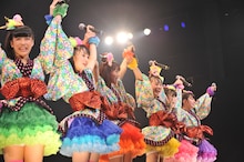 チームしゃちほこ