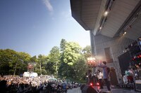 アナログフィッシュ