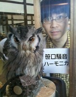 笹口騒音ハーモニカ