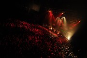 ねごと「お口ポカーン!! 東名阪ワンマンツアー ～spark of FLOWER～」Zepp Tokyo公演の様子。（Photo by H.and.A）
