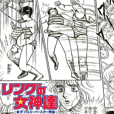 V.A.「リングの女神達～女子プロスーパースター列伝～」ジャケット