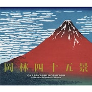 岡林信康「岡林四十五景~デビュー45周年記念ベスト盤」ジャケット