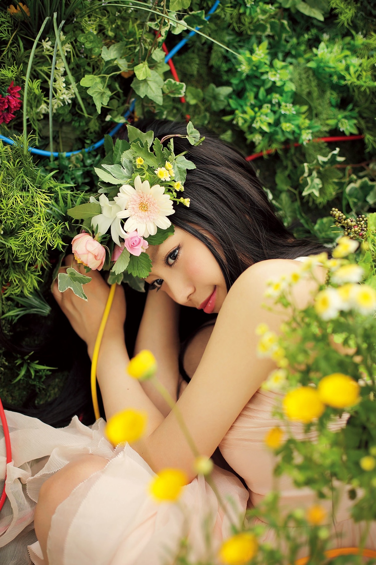 miwa