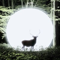 LITE「Installation」ジャケット