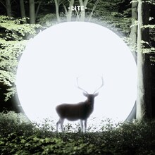 LITE「Installation」ジャケット