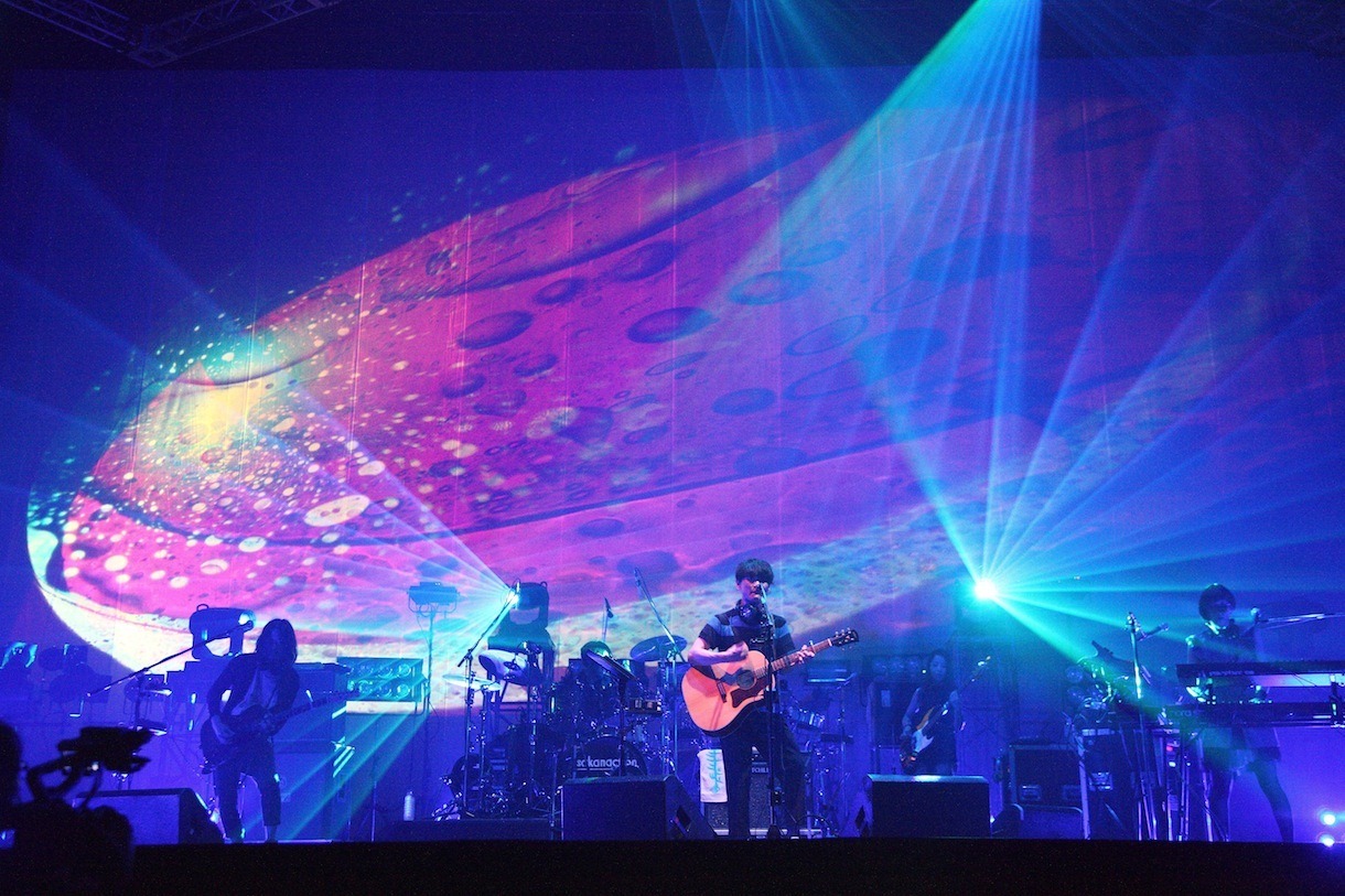「SAKANAQUARIUM 2013 sakanaction」幕張公演2日目の様子。（撮影：石阪大輔[hatos]）