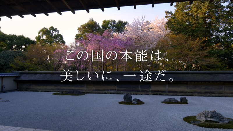 ソニー4K対応「ブラビア」CM「美へのこだわり」編より。