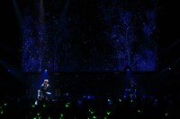 神奈川・パシフィコ横浜国立大ホール「B.A.P LIVE ON EARTH JAPAN」の様子。