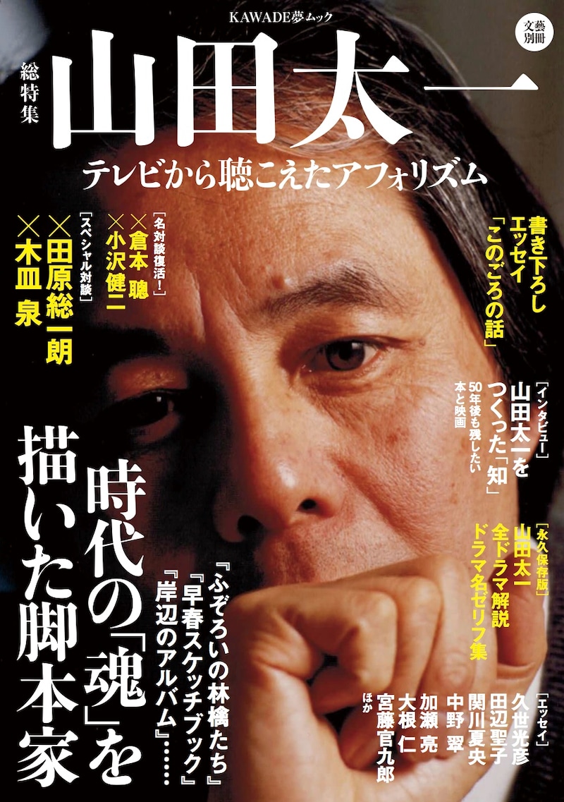 「KAWADE夢ムック 文藝別冊 総特集 山田太一」書影