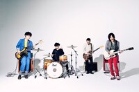 ストレイテナー