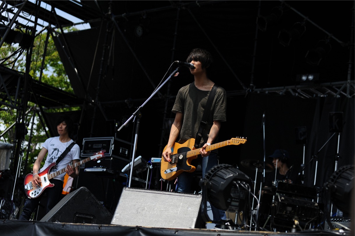 The Flickers (C) Metrock 2013