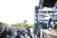 WHITE ASH (C) Metrock 2013