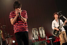 真心ブラザーズ「王道真心 ジャパン・ツアー2013」の模様。