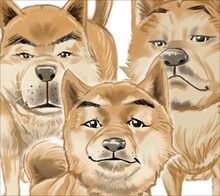 スチャダラパー「6ピース バリューパック」ジャケット