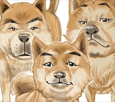 スチャダラパー「6ピース バリューパック」ジャケット