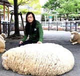 MERZBOW