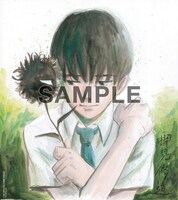 描き下ろしカラーイラスト複製色紙