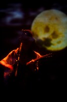 「amazarashi LIVE TOUR 2013『ねぇママ あなたの言うとおり』」渋谷公会堂公演の様子。