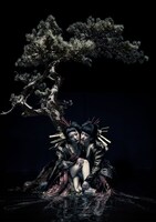 the GazettE「the GazettE LIVE TOUR12-13 【DIVISION】FINAL MELT LIVE AT 03.10 SAITAMA SUPER ARENA」通常盤ジャケット