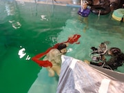 「ガールズルール」ジャケット撮影中のヒトコマ。