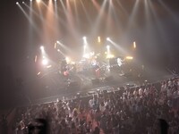 「new balance presents NICO Touches the Walls TOUR 2013"Shout to the Walls!"」市川市文化会館公演の様子。