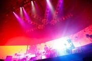 BOOM BOOM SATELLITES（写真は日本武道館公演の様子）