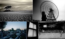 京「for the human race」に掲載される写真。