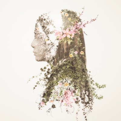 MONKEY MAJIK「Story」ジャケット