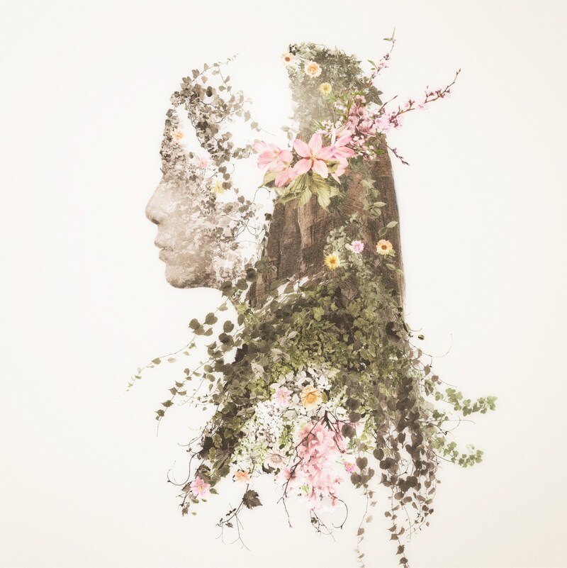 MONKEY MAJIK「Story」ジャケット