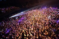 「UNDER THE LIVE 2013」東京公演の客席の模様。