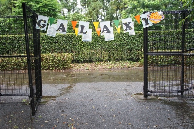 GALAXY GATE