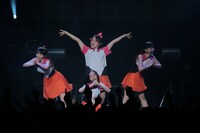 ナヲを加えた4人編成での「チョコレイト・ディスコ」