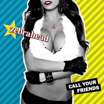 ZEBRAHEAD「CALL YOUR FRIENDS」ジャケット