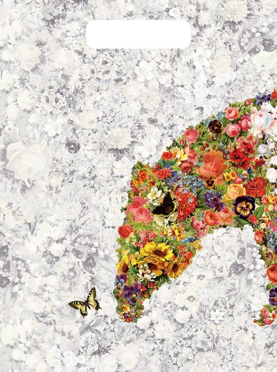 ねごと「spark of FLOWER」完全生産限定盤ジャケット