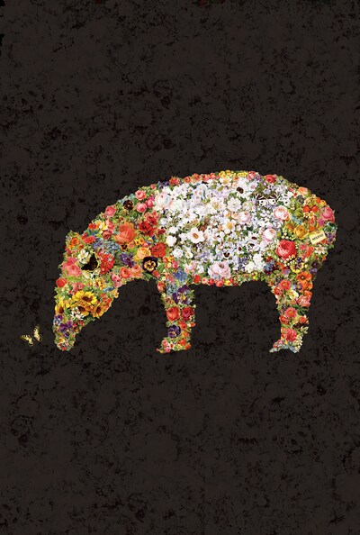 ねごと「spark of FLOWER」通常盤ジャケット