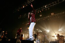 6月22日に東京・SHIBUYA-AXで行われた「髭2013 "QUEENS, DANKE SCHON PAPA!" TOUR」の様子。