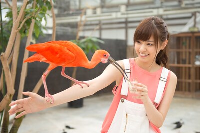 掛川花鳥園で鳥と触れ合う西野七瀬。