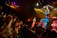 レキシ（写真手前）とハナレグミ（奥）。