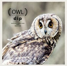 dip「OWL」ジャケット