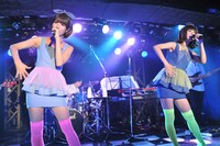 バニラビーンズ