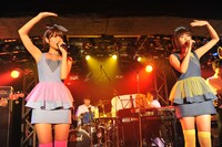 バニラビーンズ